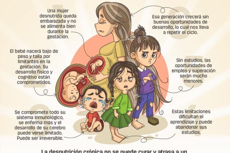 Ciclo de la desnutrición.jpg
