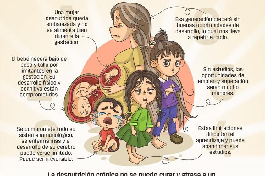 Ciclo de la desnutrición.jpg