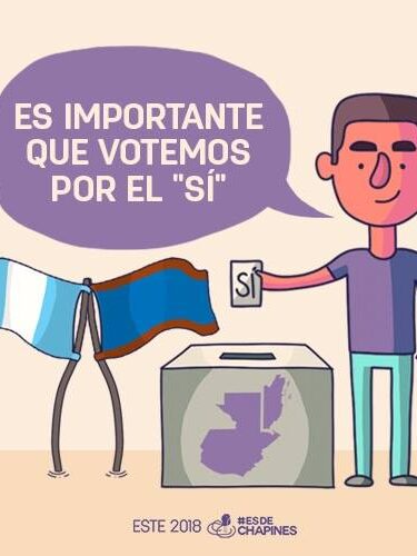 Consulta popular 2.jpg