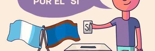 Consulta popular 2.jpg