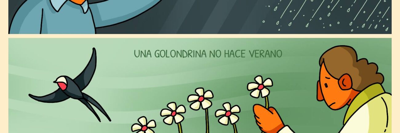 Nuestra misión es un país.jpg