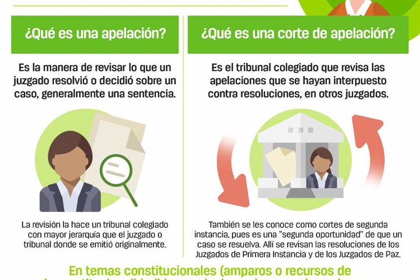apelacion