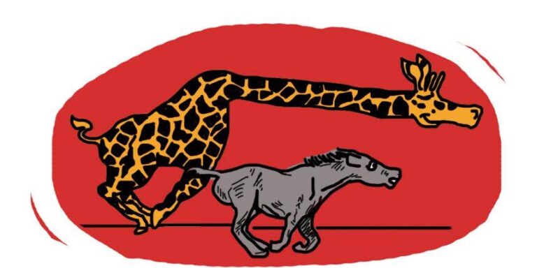 ¿Ser honrado es ser bruto?.jpg