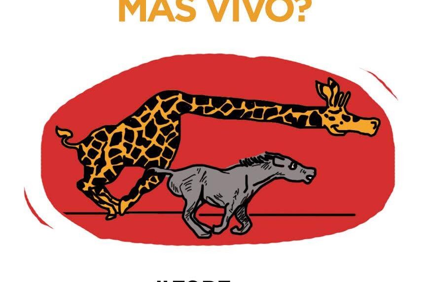 ¿Ser honrado es ser bruto?.jpg
