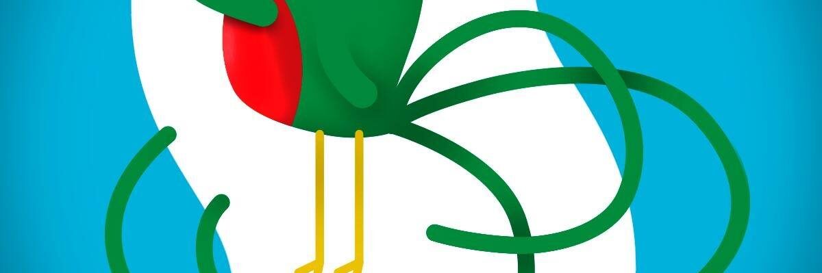 118841473_3447425482044570_7565075619536620284_n_3447425478711237