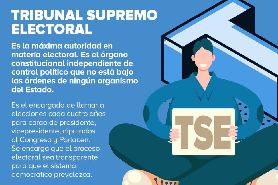 tribunalsupremoelectoral